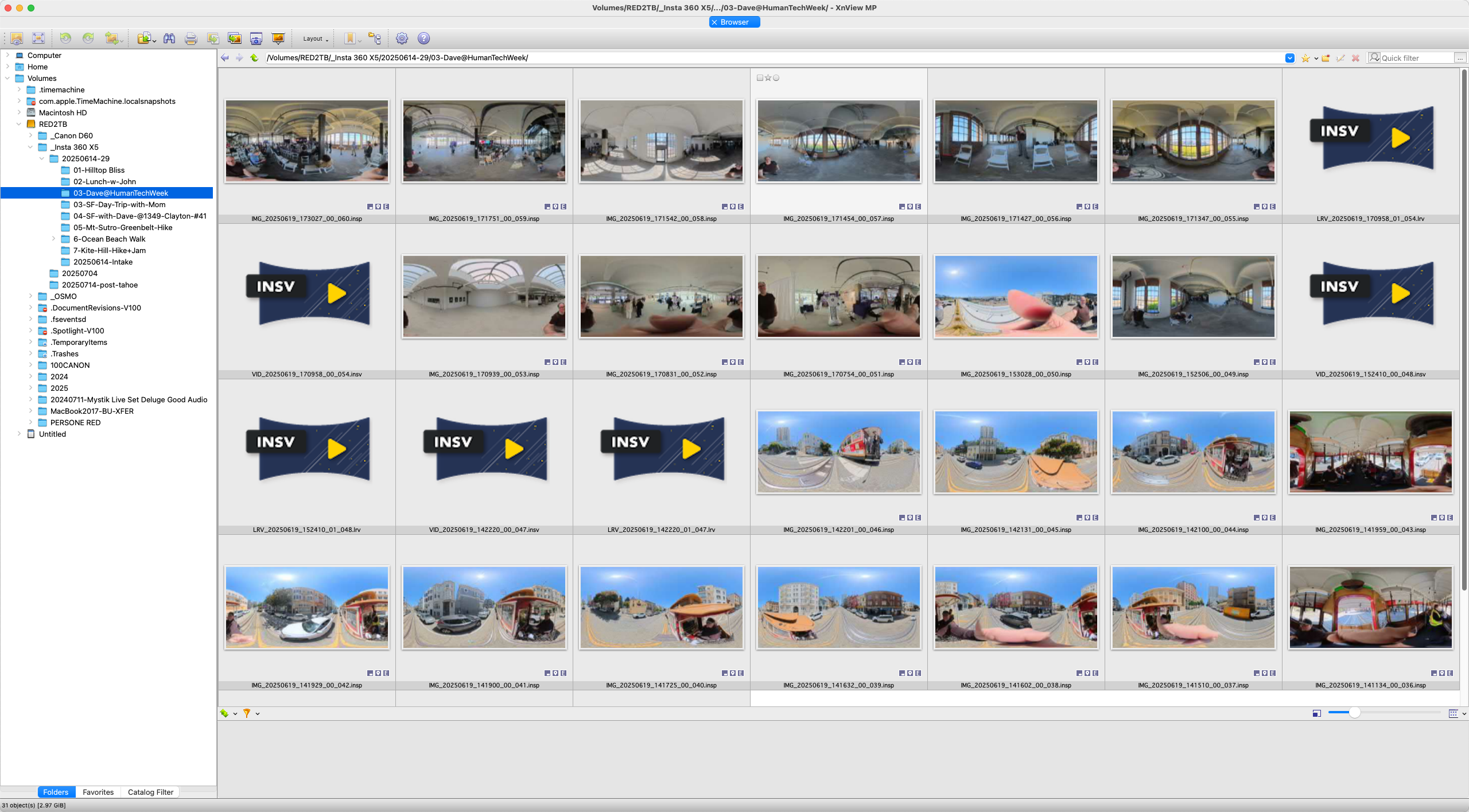 Image illustrating XNViewMP showing an index sheet of photos