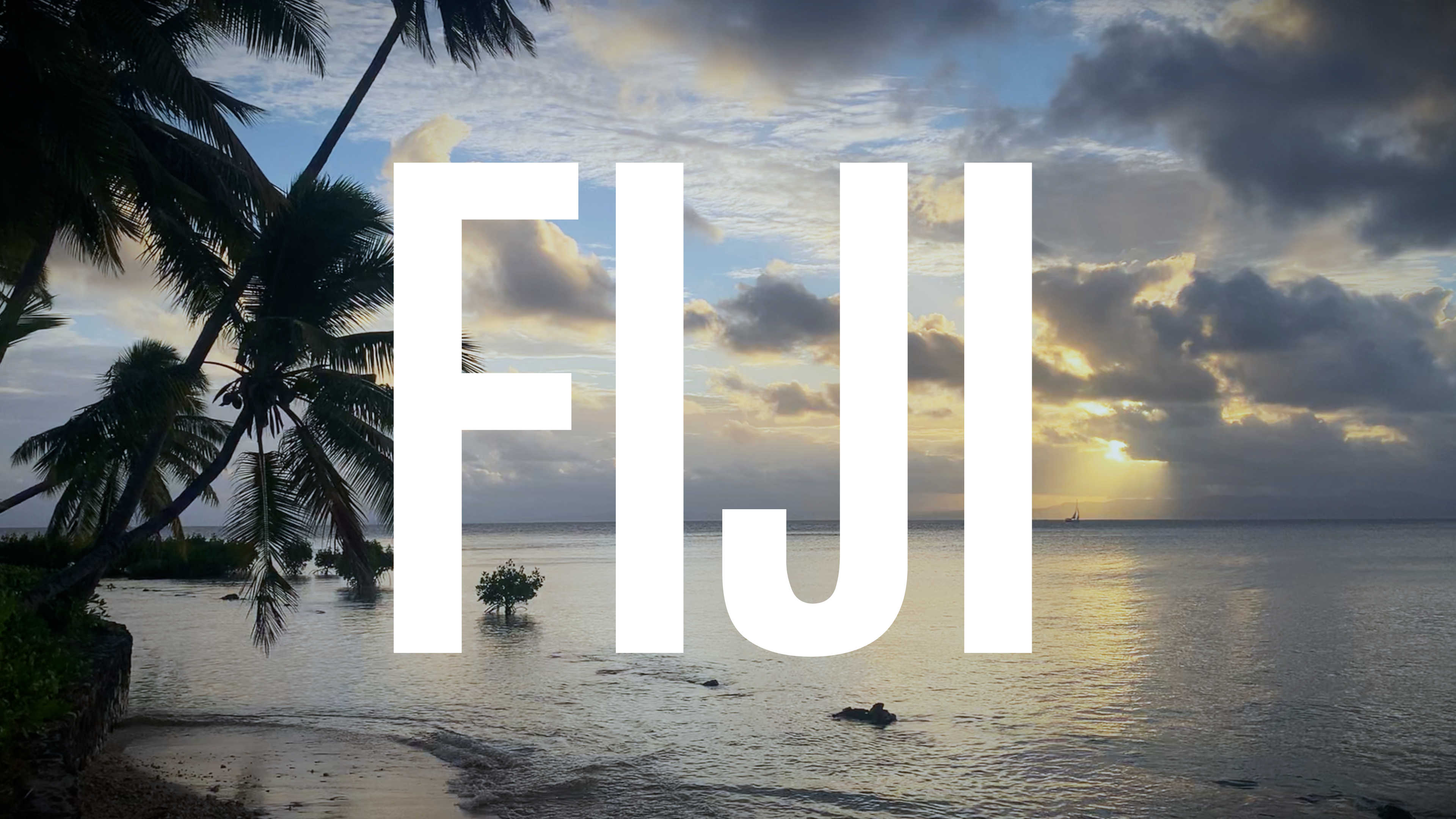 Tropical beach and palm tree views of the South Pacific Ocean from Savusavu, Fiji