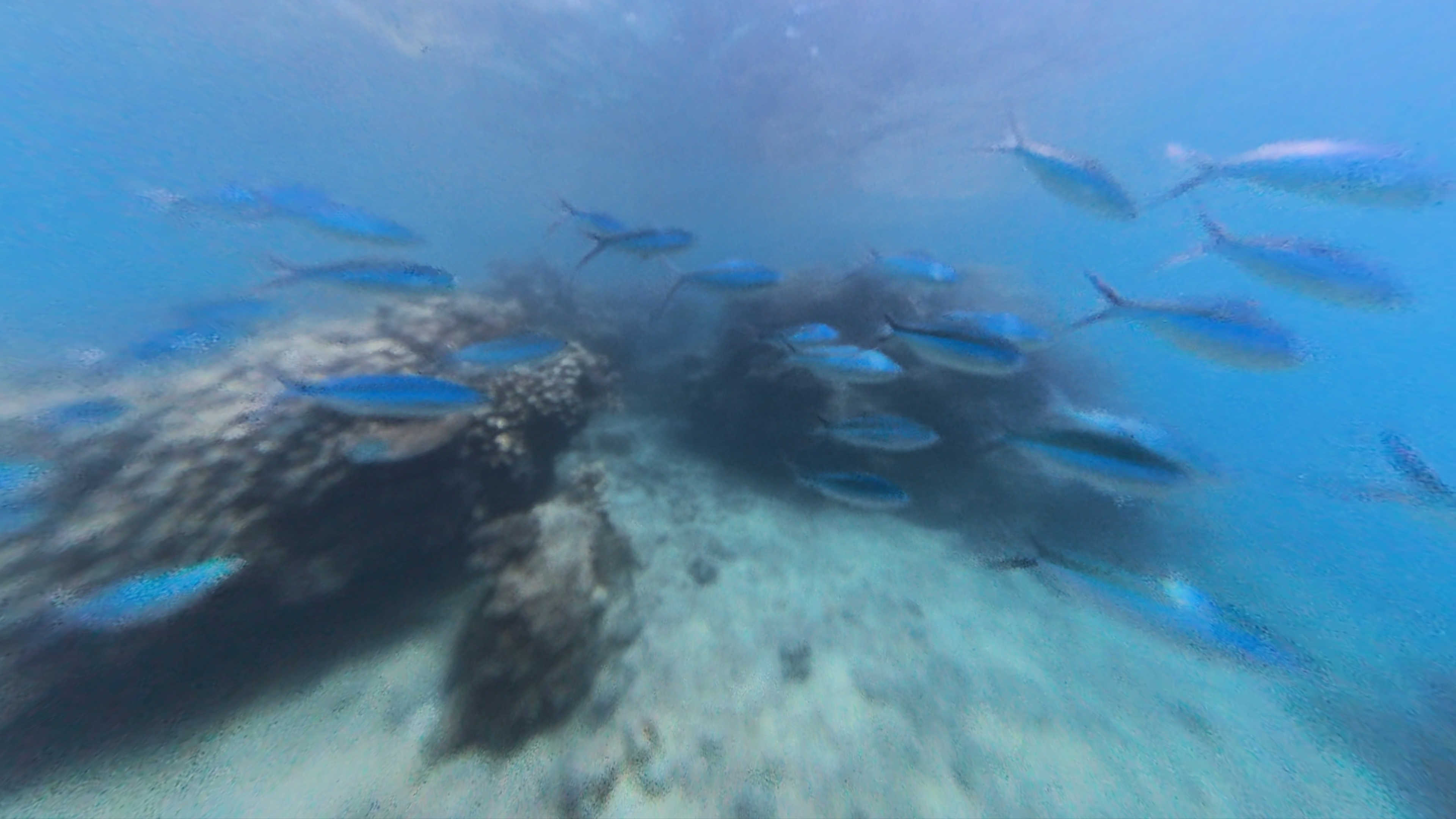 Me standing with my mom, brother and sister along with our Fijian resort host Gabi