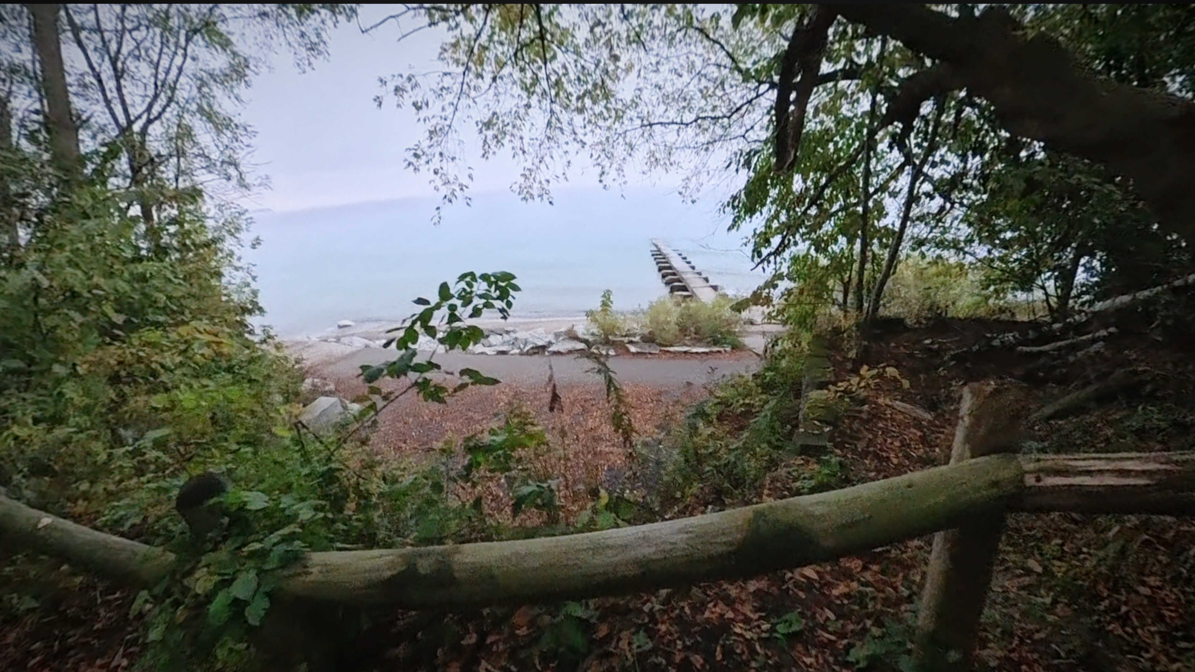 A view through the trees of the lake and a pier extending out into it