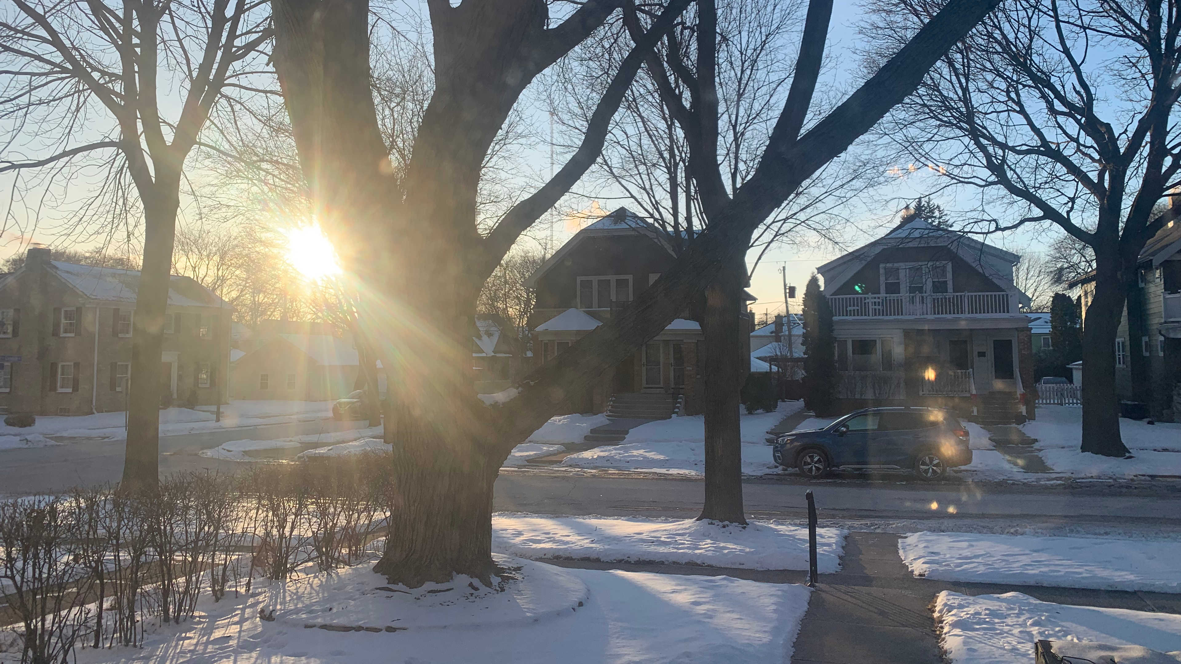 The sun setting through our front trees and over the houses across the street