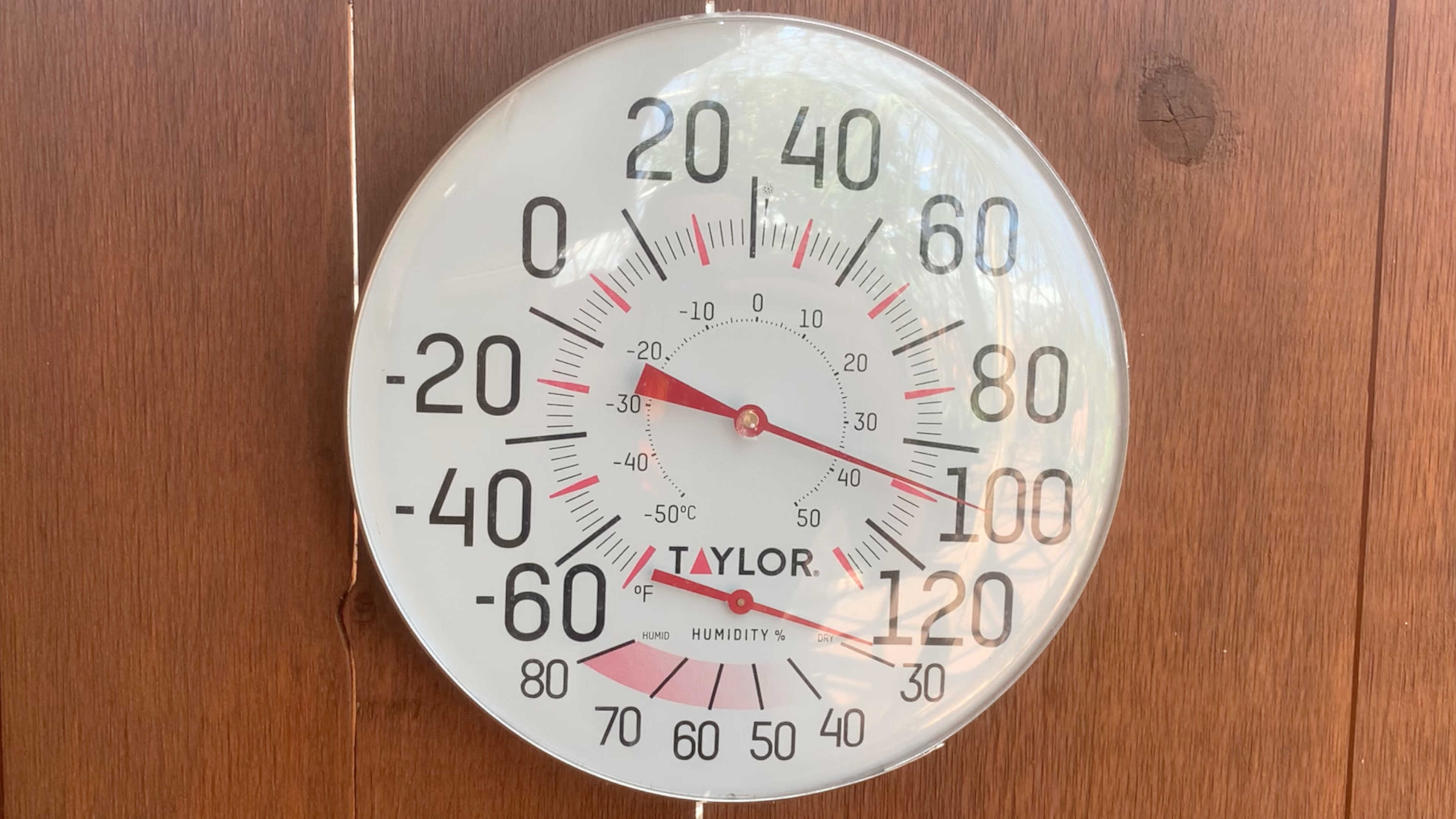 The temperature in Desert Dome was almost 100°.