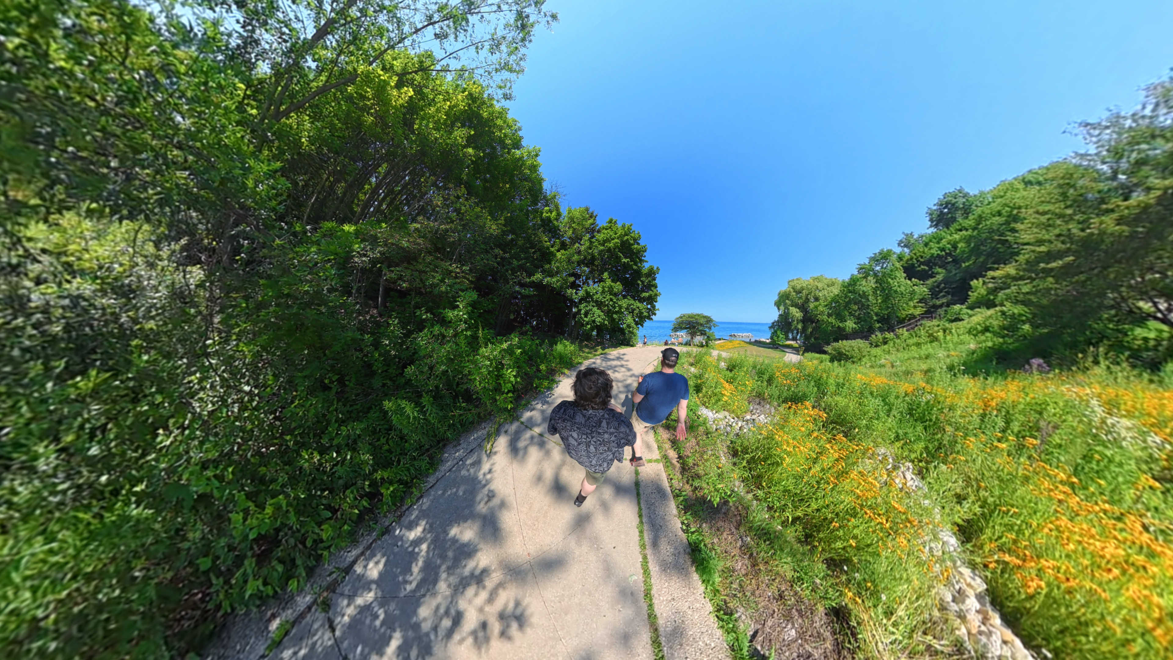 Wide 360-degree view of two people walking along a garden path beside flowers and trees.