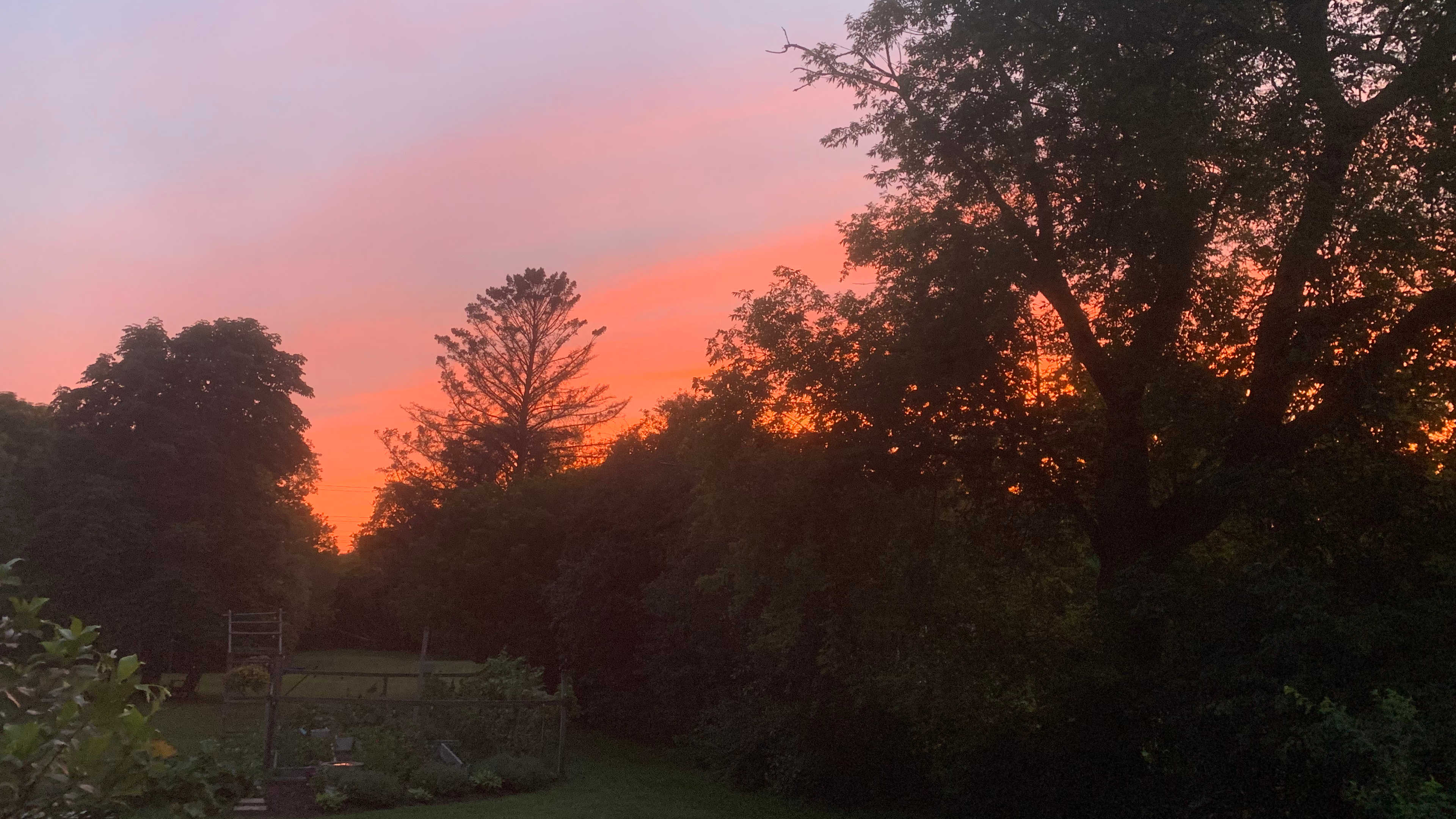 Pink and orange summer sunset glowing behind dark trees and a backyard garden.